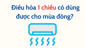 Điều Hòa 1 Chiều Có Dùng được Cho Mùa đông