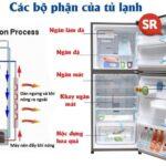 Cấu tạo và nguyên lý hoạt động của tủ lạnh | Các bộ phận chính