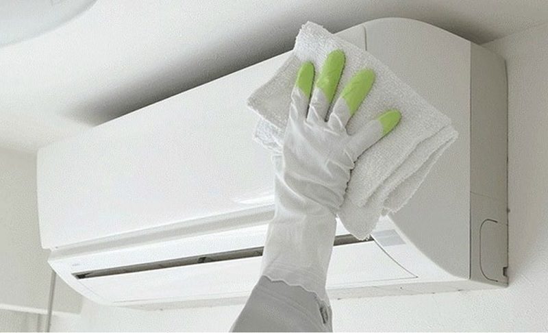 Lấy khăn khô lau sạch nước còn bám ở vỏ mặt nạ