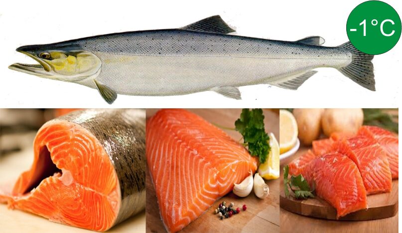 3. Hai mức nhiệt độ phù hợp nhất với thực phẩm