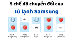 5 Che Do Chuyen Doi Cua Tu Lanh Samsung