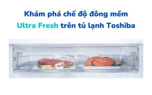 Dac Sac Cua Ngan Cap Dong Mem Ultra Fresh Tren Tu Lanh Toshiba