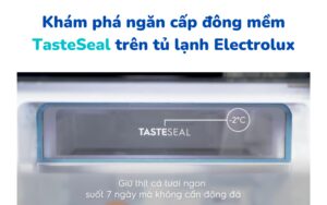 Gioi Thieu Ngan Dong Mem Tasteseal Tren Tu Lanh Electrolux