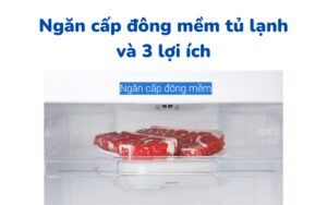 Ngan Cap Dong Mem Va 3 Loi Ich Cua No Trong Bao Quan Thuc Pham