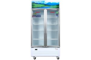 Tủ mát Sanaky VH-1009HP