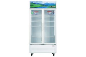 Tủ mát Sanaky VH-1009HP3