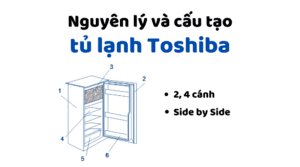 Nguyen Ly Va Cau Tao Tu Lanh Toshiba