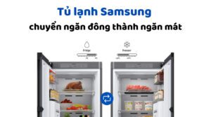 Tu Lanh Samsung Chuyen Ngan Dong Thanh Ngan Mat