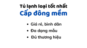 Tu Lanh Cap Dong Mem Loai Nao Tot