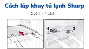 Cách lắp khay tủ lạnh Sharp 2, 4 cánh
