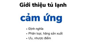 Tu Lanh Cam Ung La Gi