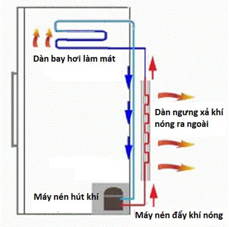 Cấu tạo và nguyên lý hoạt động của tủ lạnh