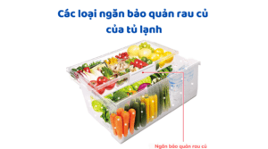 Các Loại Ngăn Bảo Quản Rau Củ Của Tủ Lạnh