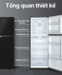 Tủ lạnh Hisense RT256N4EBN - hình số 4