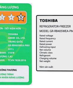 Tủ lạnh Toshiba GR-RB405WEA-PMV(06)-MG - hình số 20