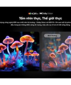 Tivi Coocaa 55y73 Pro (3)