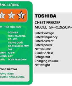 Tủ lạnh Toshiba GR-RC265CM-PMV(01) - hình số 14