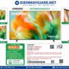 Tivi Samsung 75m80ha