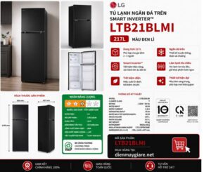 Tủ Lạnh Lg Ltb21blmi