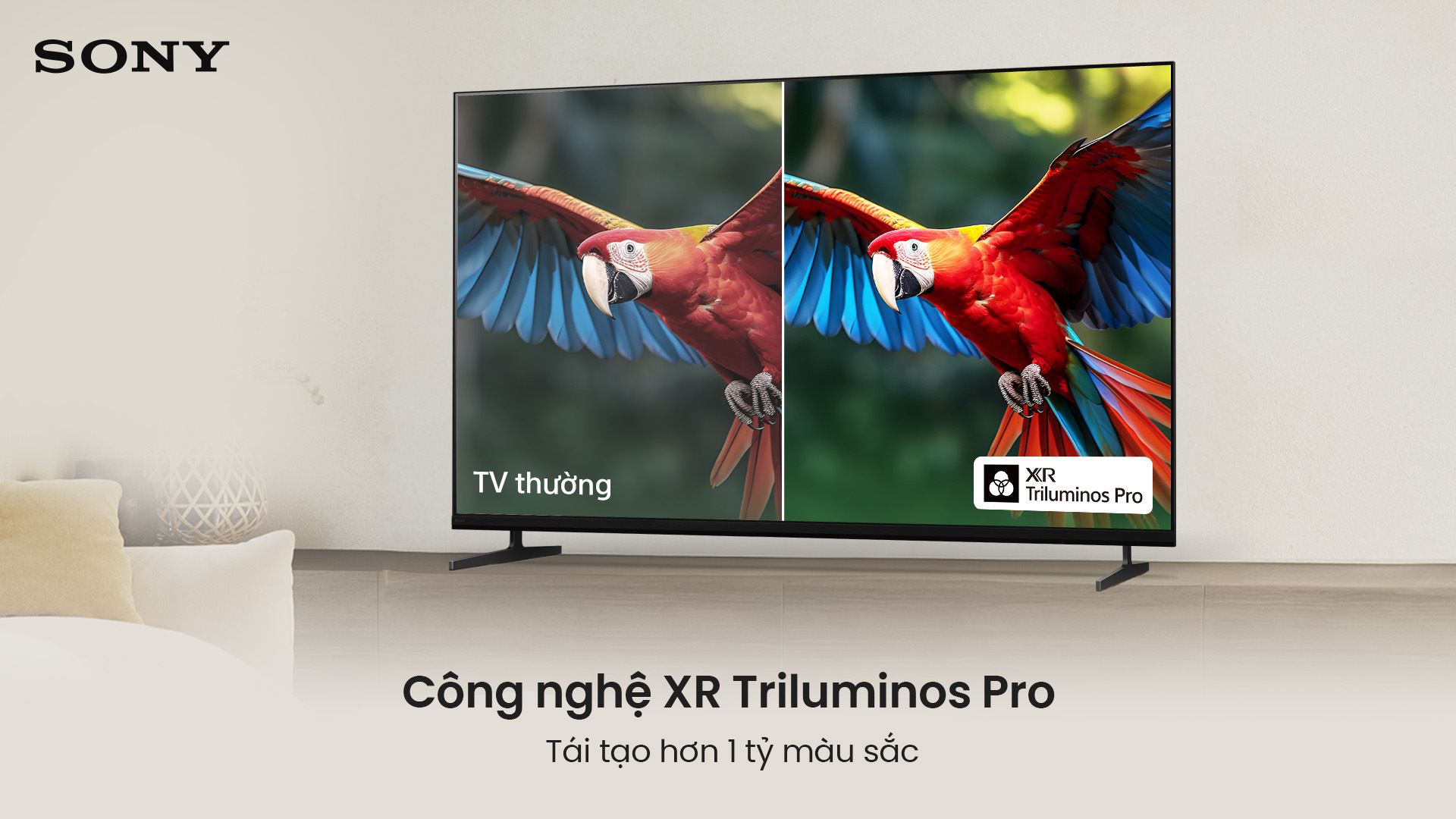 - Tivi Sony K-100XR30M2 - hình số 4