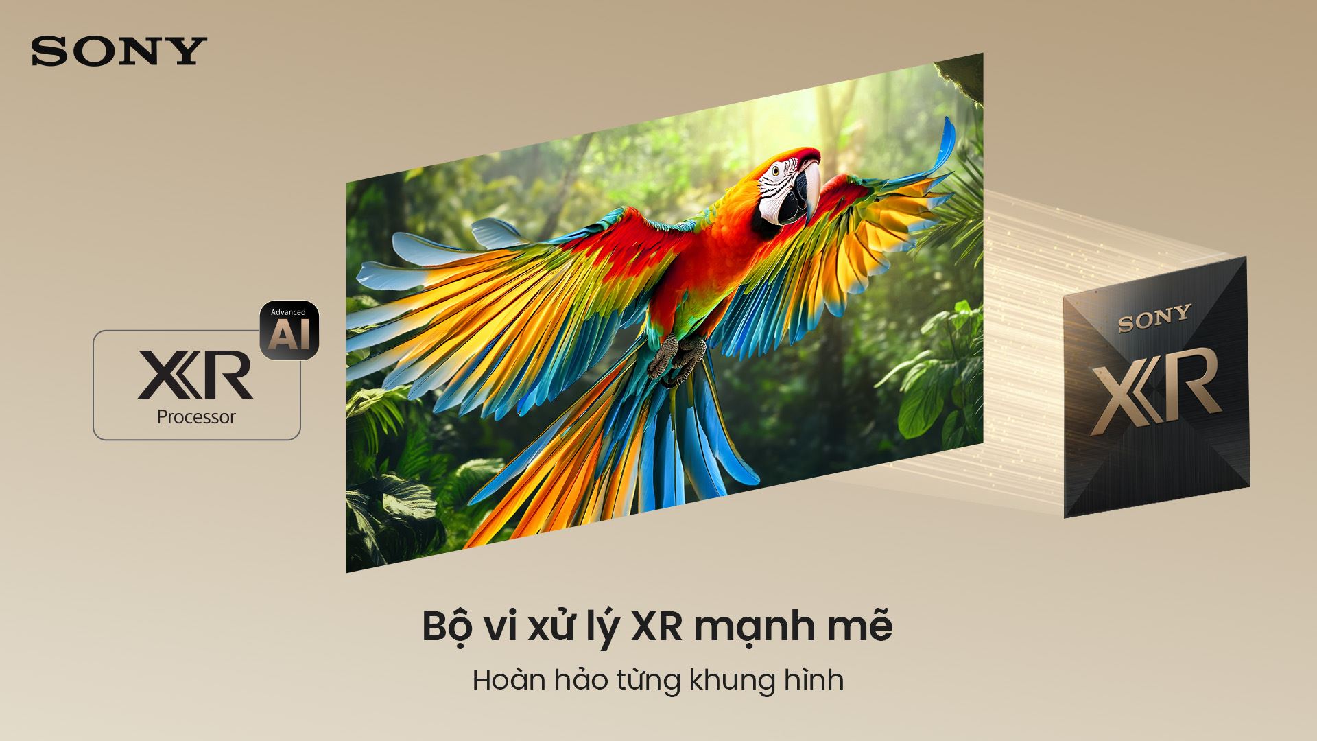 - Tivi Sony K-75XR70M2 - hình số 2