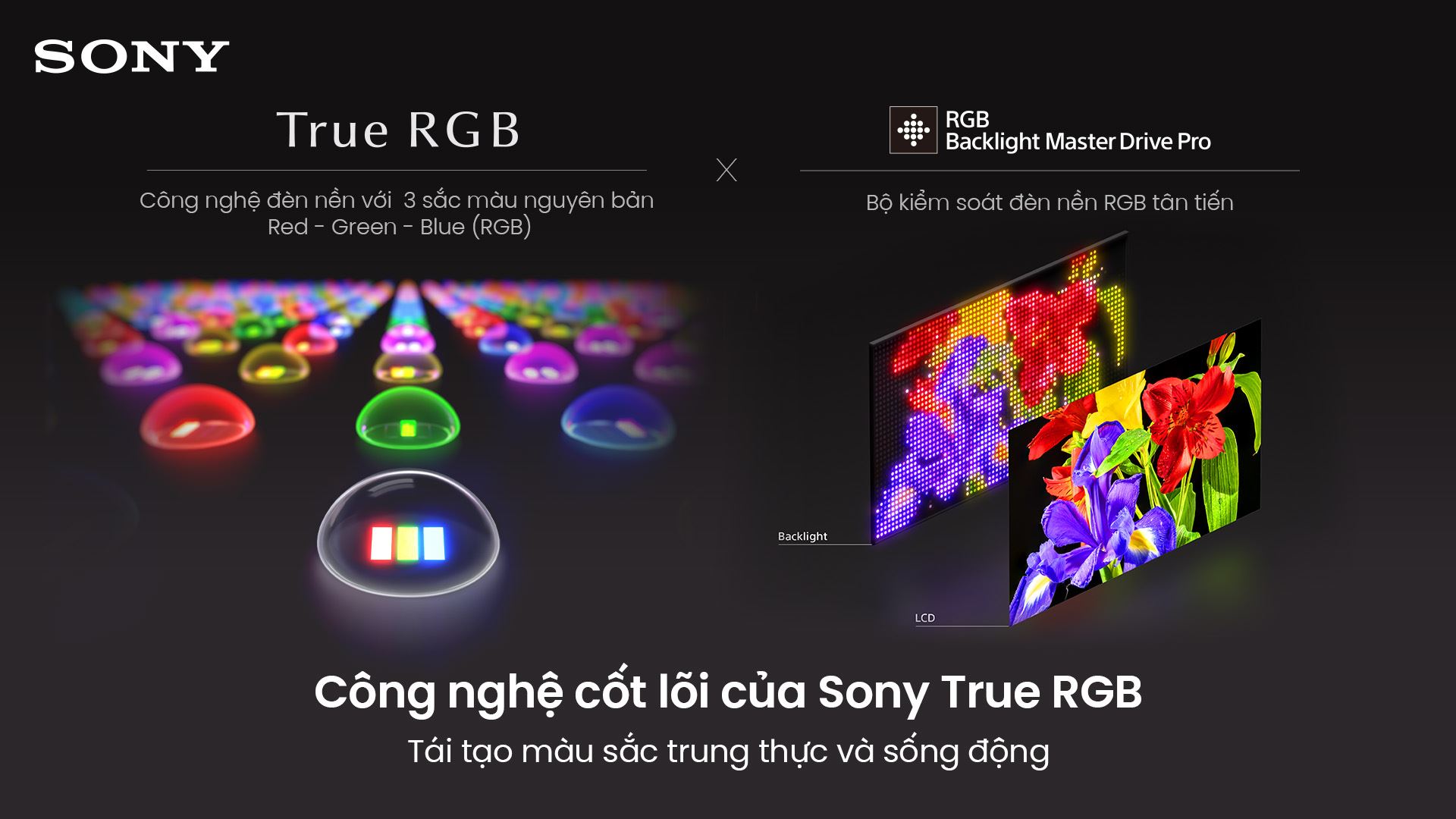 - Tivi Sony K-85XR90M2 - hình số 3