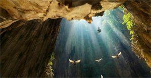 tivi LG dùng có tốt không