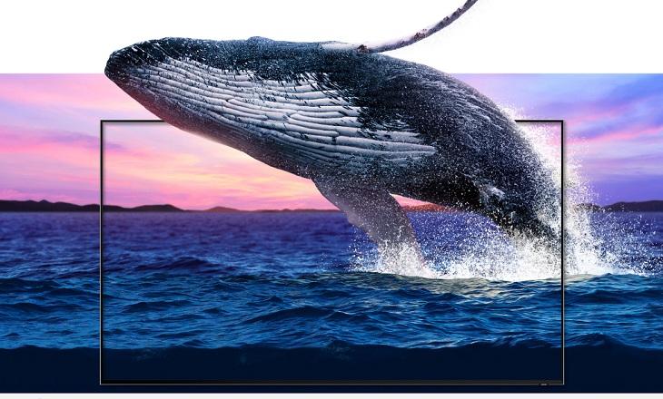 dòng tivi samsung 2019