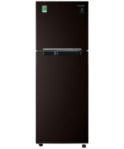 Tủ lạnh Samsung RT22M4032BY/SV