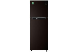 Tủ lạnh Samsung RT22M4032BY/SV
