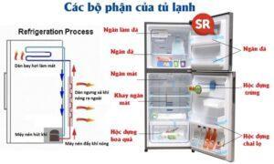 Cấu tạo và nguyên lý hoạt động của tủ lạnh