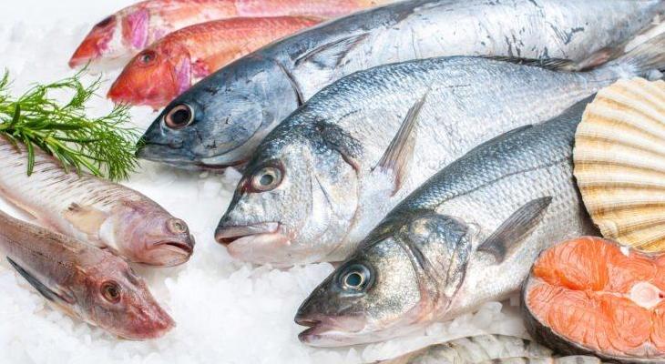 Nhiệt độ phù hợp cho ngăn đông tủ lạnh Nhiệt độ phù hợp cho ngăn đông tủ lạnh