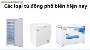 phân loại tủ đông