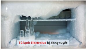 Tu Lanh Electrolux Bi Dong Tuyetavatar