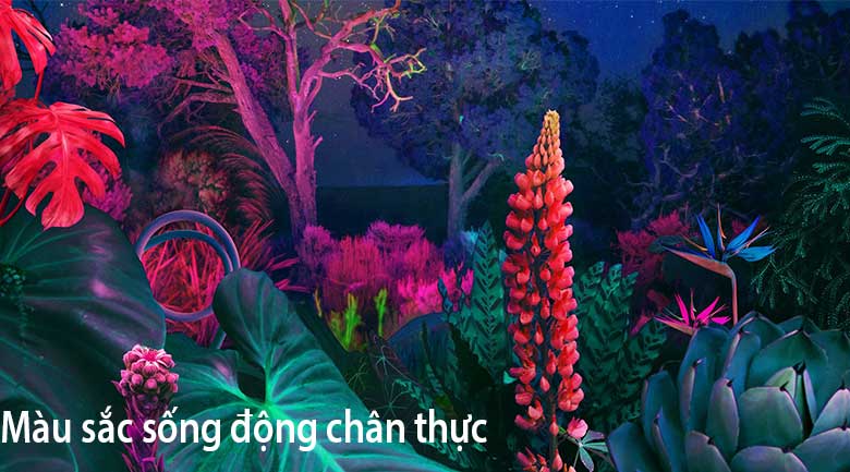 Công nghệ Dynamic Crystal Color cho màu sắc như thật