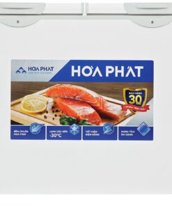 Tủ đông Hòa Phát HPF BD6245