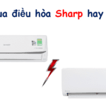 So sánh máy lạnh Sharp và Daikin: Dùng loại nào tốt hơn?