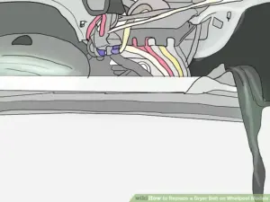 Lắp dây curoa mới vào máy