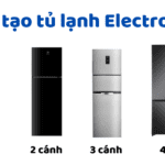 Cấu tạo tủ lạnh Electrolux | Dòng 1 2 3 4 cánh, Side by Side