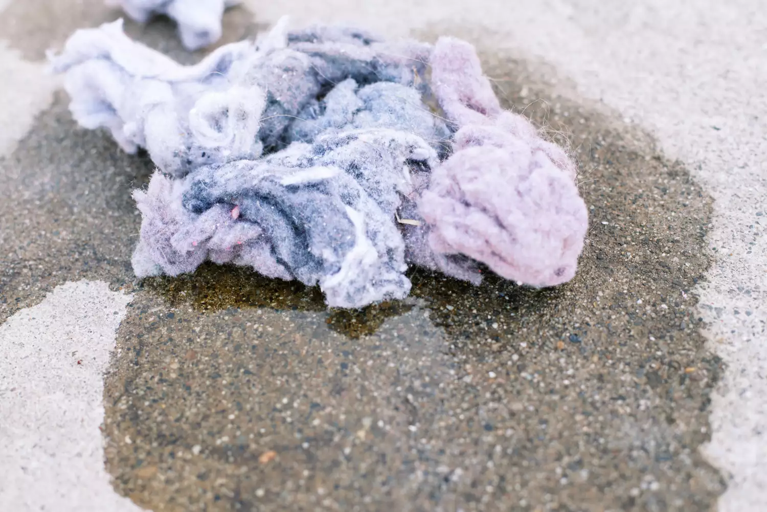 Xơ vải máy sấy nằm trên vũng nước trên nền xi măng