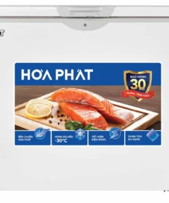 Tủ đông Hòa Phát HPF AD6252