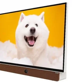 Tivi Coocaa 24LP6000G - hình số 2