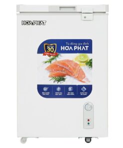 Tủ đông Hòa Phát HPF AD6107