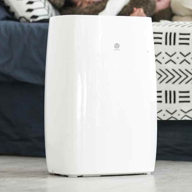 Máy hút ẩm lọc khí New Widetech WDH318EFW1 - hình số 1