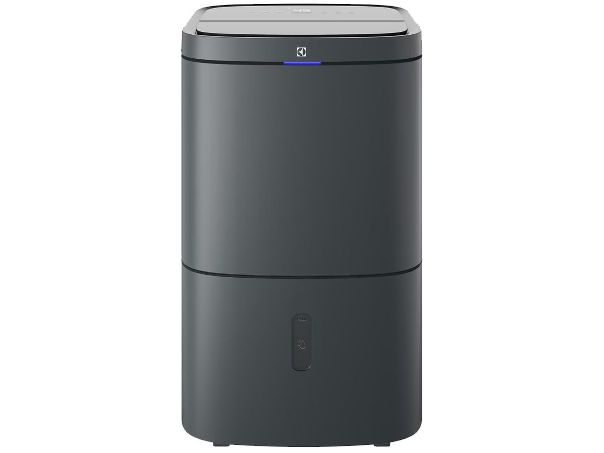 Máy hút ẩm lọc khí Electrolux EDH16TRBD3 - hình số 1