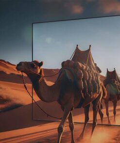 Tivi Coocaa 65V75 - hình số 8