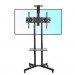 Giá treo tivi di động ERGOTEK E1750 | 32-55 inch